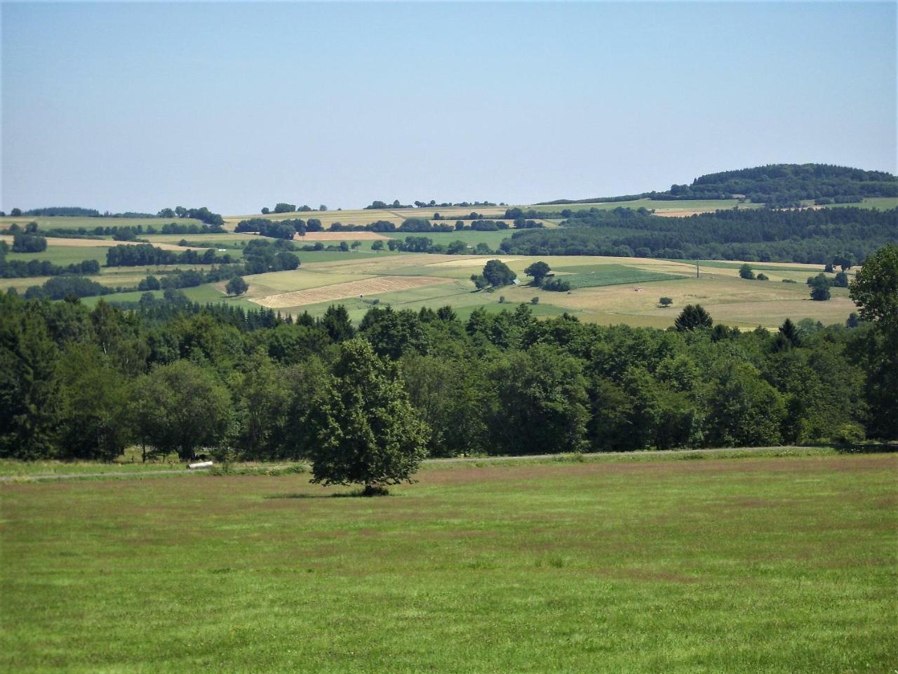 Caecilienhof Apartment Birstein Bagian luar foto